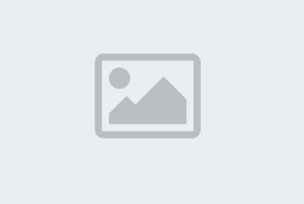 Top 10 Web Design Trends in Jalandhar for 2025